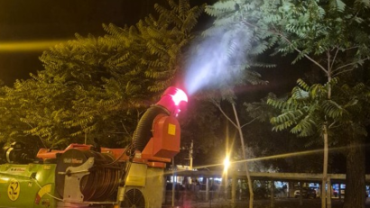 Primăria: Dezinsecția continuă în Constanța și Mamaia