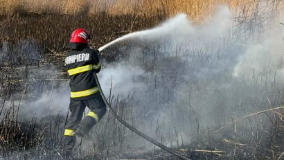 Județul CONSTANȚA: Peste 23 de hectare de grâu și orz, mistuite de flăcări la Cobadin