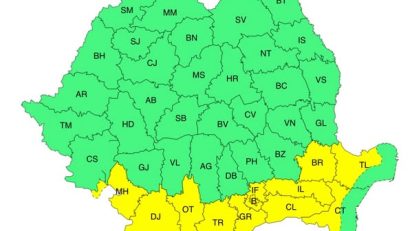 COD GALBEN de caniculă în zona continentală a Dobrogei