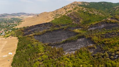 FOTOREPORTAJ | 80 de hectare de pădure au ars în Munții Măcin, lângă Greci