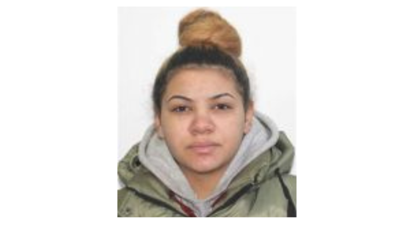 MURFATLAR: Minoră dispărută de la domiciliu de două zile, căutată de polițiști