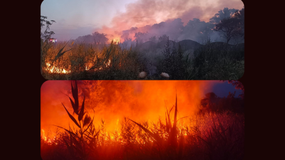 UPDATE | TULCEA: S-a reaprins incendiul de la Chilia, care a mistuit 1.000 de hectare de vegetație și pădure