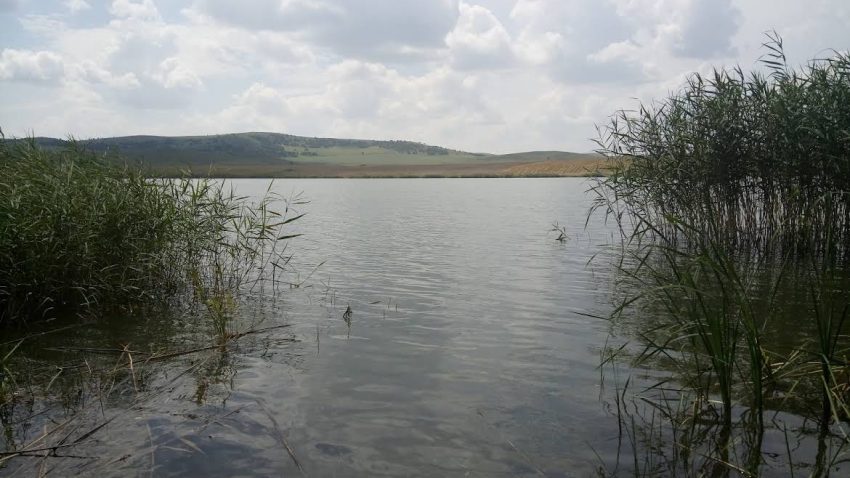 TULCEA: De ce a fost sistat consumul de apă din Lacul Horia?