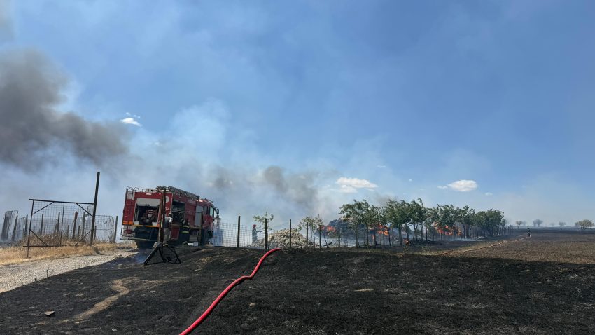 TULCEA: O stână de oi, în pericol din cauza unui incendiu