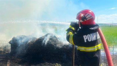 TULCEA: 14 porci au murit în incendiul care a izbucnit la anexele unei ferme din municipiu