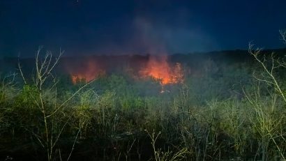 Incendiu de vegetație și pădure în satul Casian, din Cheile Dobrogei