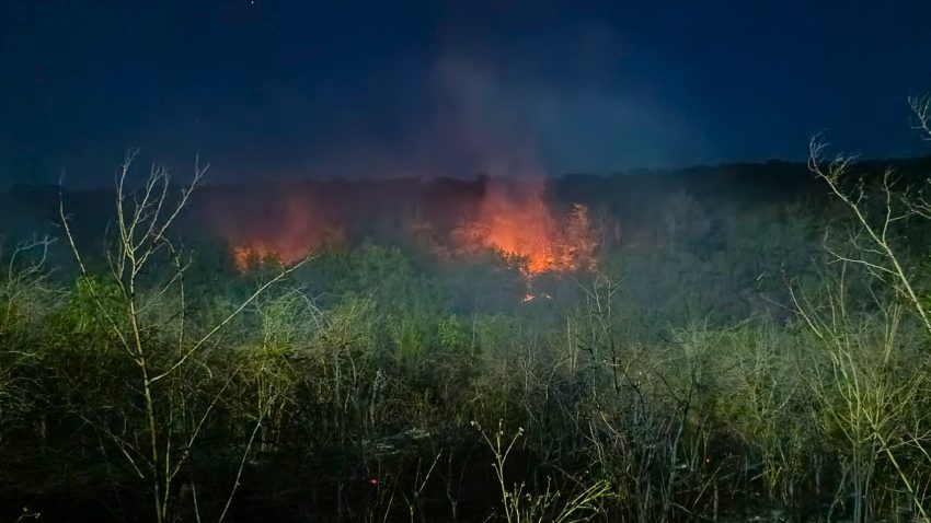 Incendiu de vegetație și pădure în satul Casian, din Cheile Dobrogei