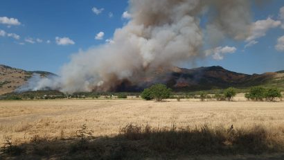 Pompierii tulceni intervin pentru stingerea unui incendiu de vegetație uscată și fond forestier, produs în apropierea localității Greci