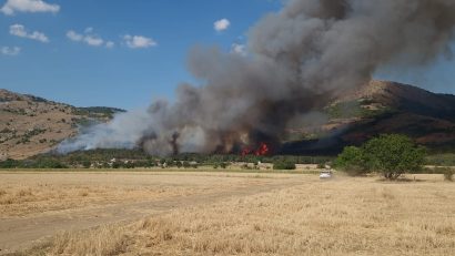 TULCEA: Incendiul de la Greci a fost stins. 80 de hectare au fost afectate