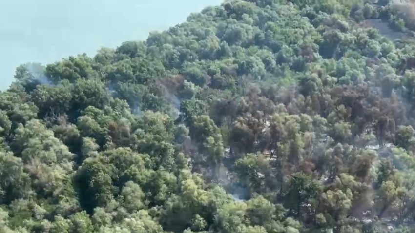 TULCEA: Pompierii continuă eforturile pentru stingerea incendiului din localitatea Chilia Veche