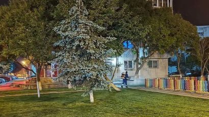 NĂVODARI: Acțiune de dezinsecție terestră, în perioada 21–25 iulie 2025