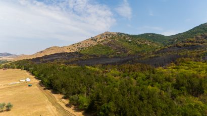 Incendiul din Munții Măcinului. Un test de foc pentru oameni și natură