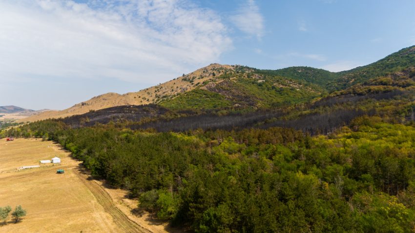 Incendiul din Munții Măcinului. Un test de foc pentru oameni și natură
