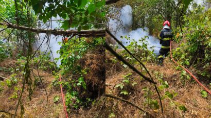 TULCEA: Incendiu extins de vegetație și pădure. Intervine elicopterul Black Hawk