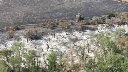 TULCEA: Incendiul de la Chilia Veche, sub control. Aproape 1.400 de hectare de vegetație și pădure, făcute scrum