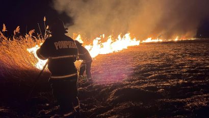TULCEA: Incendiu de pădure în zona Mănăstirii Cocoș din comuna Niculițel