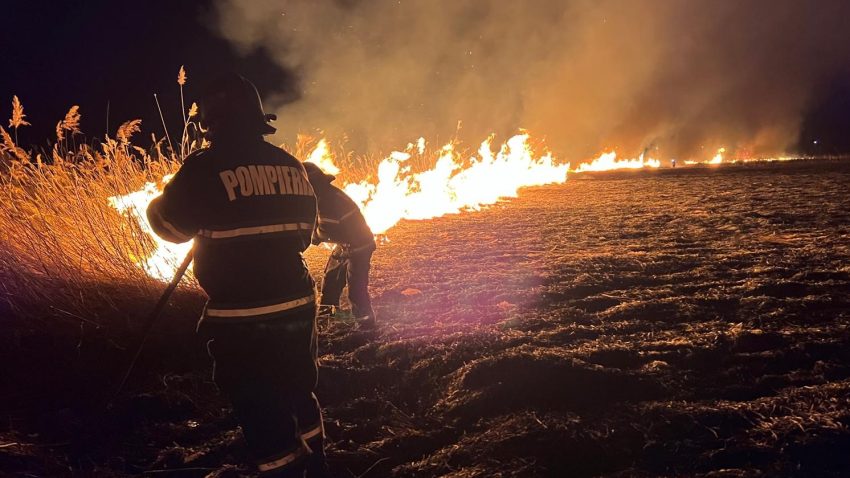 TULCEA: Incendiu de pădure în zona Mănăstirii Cocoș din comuna Niculițel