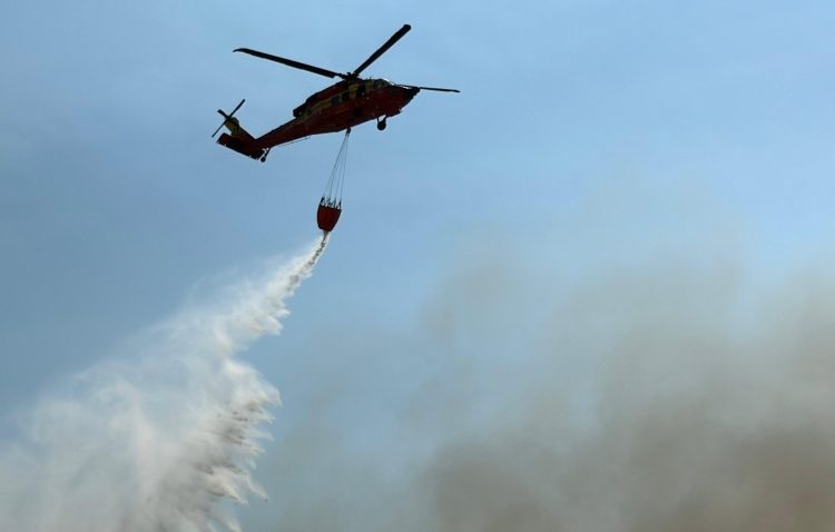 TULCEA: Intervenții la mai multe incendii de vegetație și fond forestier