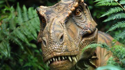 AUDIO | Expoziție de dinozauri animatronici, în premieră, în stațiunea Mamaia