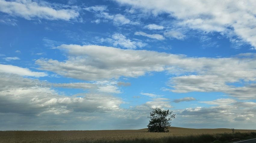 Vreme frumoasă, în Dobrogea și pe litoral