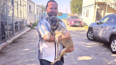 O nouă familie pentru un cățel aflat în Adăpostul public de animale abandonate Constanța