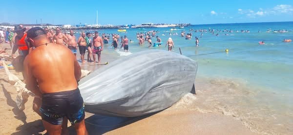 EFORIE NORD: Velier cu 3 turiști la bord, răsturnat în mare