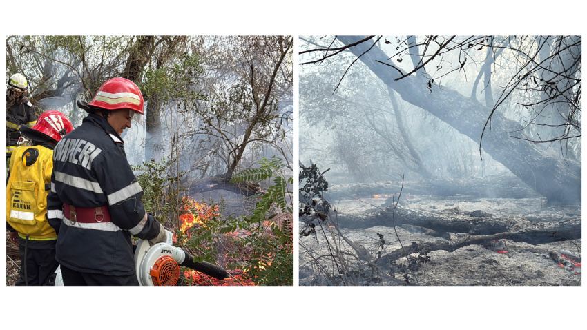 incendiu chilia