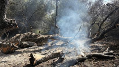 TULCEA: Incendiul din Delta Dunării, în zona Sireasa, a fost stins. Elicopterul Black Hawk a efectuat peste 50 de aruncări de apă