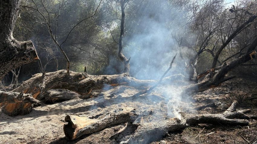 TULCEA: Incendiul din Delta Dunării, în zona Sireasa, a fost stins. Elicopterul Black Hawk a efectuat peste 50 de aruncări de apă