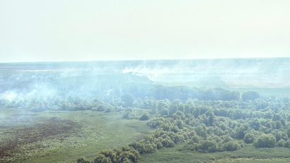 FOTO, VIDEO | De cinci zile, pompierii tulceni se luptă cu incendiul izbucnit la fondul forestier din localitatea Chilia Veche