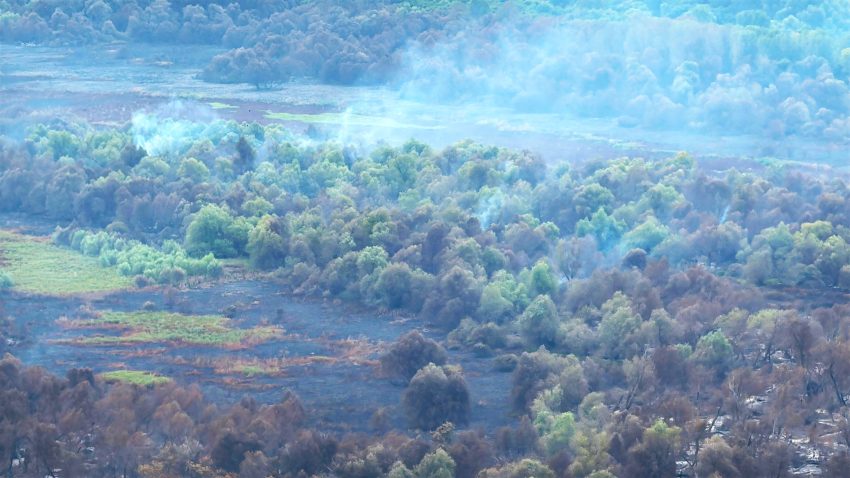 FOTO-VIDEO | TULCEA: Pompierii militari continuă eforturile pentru lichidarea incendiul de la Chilia Veche