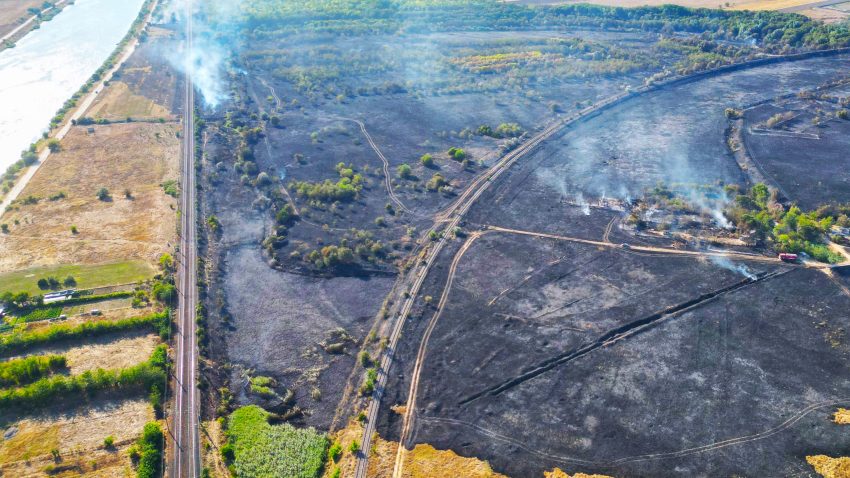 UPDATE | MEDGIDIA: Incendiul violent de vegetație a făcut o victimă și a dat peste cap traficul feroviar