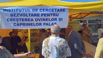 CONSTANȚA: Piața „De aici, de aproape. Din Dobrogea”