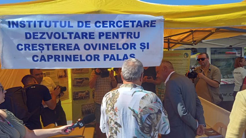 CONSTANȚA: Piața „De aici, de aproape. Din Dobrogea”