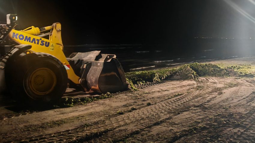 2.700 de tone de alge colectate de pe linia țărmului