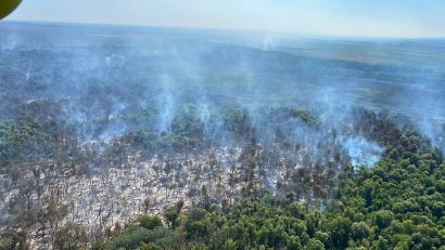 TULCEA: Incendiul care a mistuit peste 60 de hectare la Chilia Veche a fost localizat