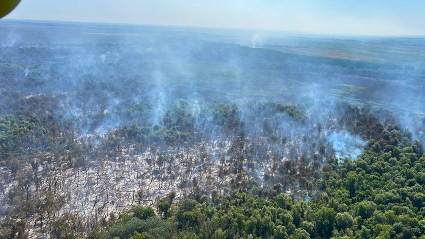 TULCEA: Incendiul care a mistuit peste 60 de hectare la Chilia Veche a fost localizat