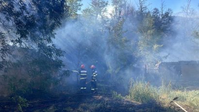 Județul TULCEA: Incendiu de vegetație și extins la anexe gospodărești