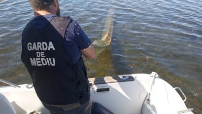 Control în zona Complex Matița-Merhei. Ce au descoperit inspectorii din cadrul Comisariatului Rezervației Biosferei Delta Dunării