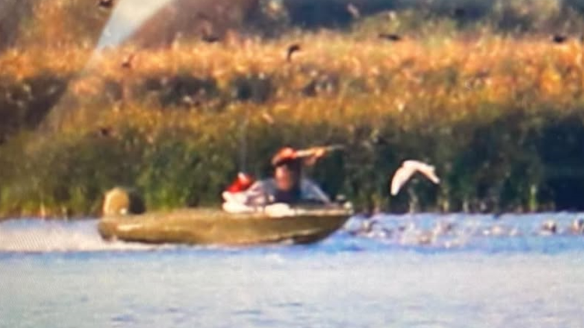 TULCEA: Uz de armă letală fără drept și braconaj cinegetic în Delta Dunării
