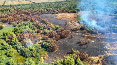 TULCEA: Peste 4.000 de hectare mistuite de incendii în 2025, aproape triplu față de suprafața afectată anul trecut