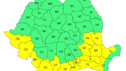 COD GALBEN de caniculă în Dobrogea continentală