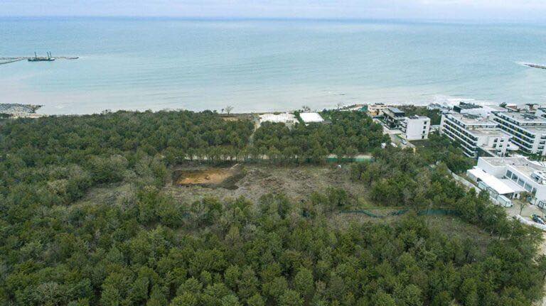 MANGALIA: Pădurea Comorova va fi trecută oficial din domeniul privat în domeniul public al orașului