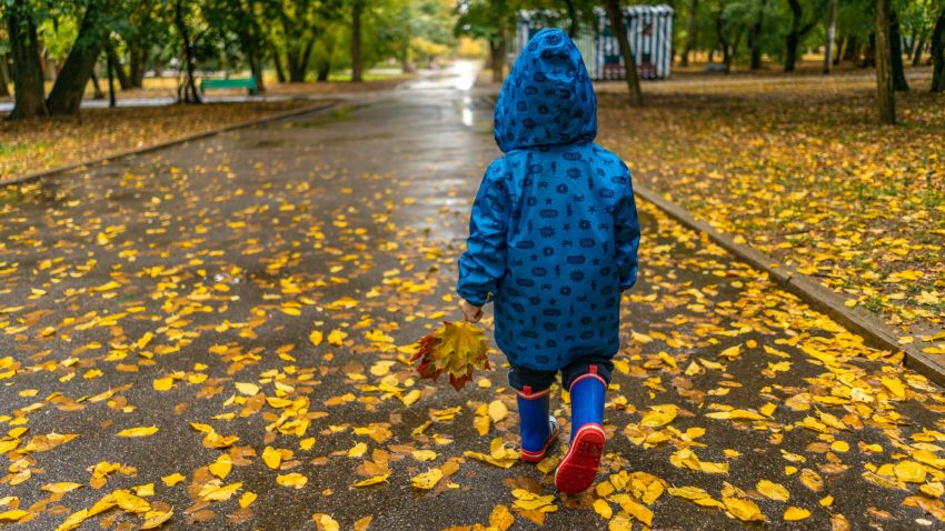 Vreme rece și închisă, în Dobrogea și pe litoral