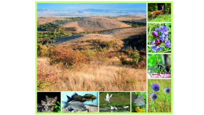 TULCEA: Simpozion național dedicat biodiversității și protejării patrimoniului natural, organizat de ICEM