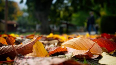 Toamnă și în termometre, nu doar în calendar, în Dobrogea și pe litoral