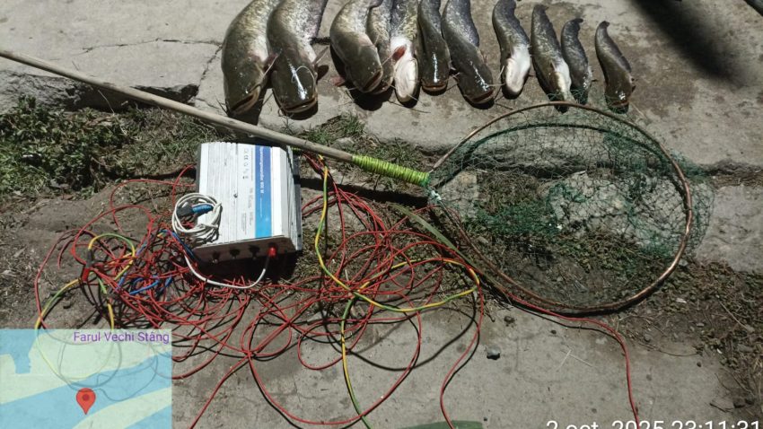 TULCEA: Doi ”electricieni” prinși în timp ce braconau