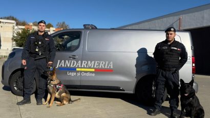 CONSTANȚA: Jandarmii au primit o autospecială destinată transportului echipajelor canine