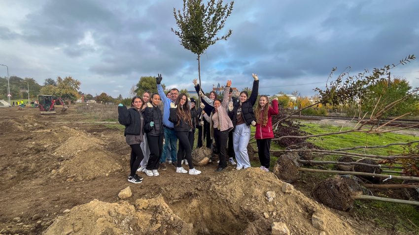 TULCEA: Plantare de toamnă pe malul lacului Ciuperca. 80 de arbori și 220 de arbuști pentru un oraș mai verde