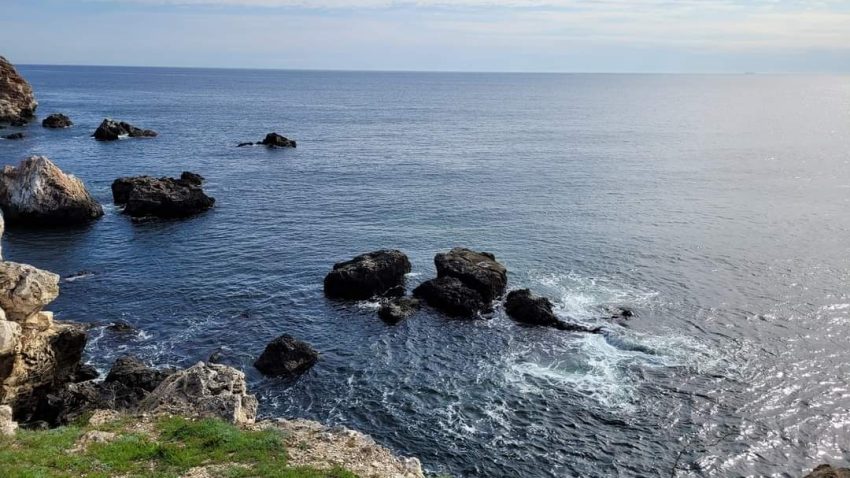 BULGARIA: Firma de midii din Marea Neagră, finanțată de UE, nu există